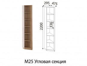 М25 Угловая секция в Верхней Пышме - verhnyaya-pyshma.magazin-mebel74.ru | фото