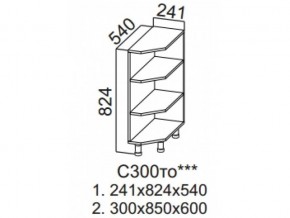 С300то Стол-рабочий 300 (торцевой открытый) в Верхней Пышме - verhnyaya-pyshma.magazin-mebel74.ru | фото