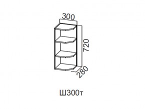 Ш300т/720 Шкаф навесной 300/720 (торцевой) в Верхней Пышме - verhnyaya-pyshma.magazin-mebel74.ru | фото