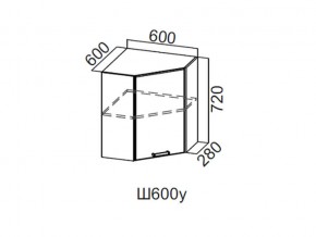 Ш600у/720 Шкаф навесной 600/720 (угловой) в Верхней Пышме - verhnyaya-pyshma.magazin-mebel74.ru | фото