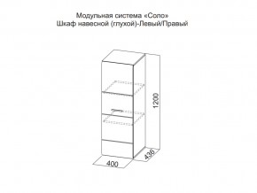 Шкаф навесной (глухой) Левый в Верхней Пышме - verhnyaya-pyshma.magazin-mebel74.ru | фото