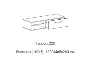 Тумба 1220 (низкая) в Верхней Пышме - verhnyaya-pyshma.magazin-mebel74.ru | фото